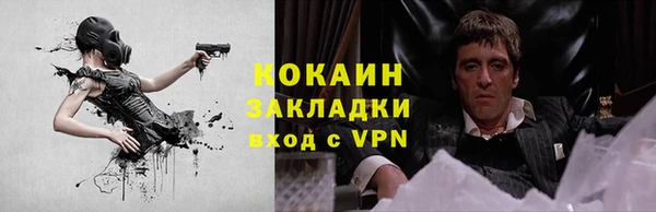 прущий лед Алзамай