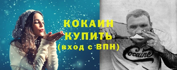 прущий лед Алзамай